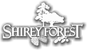 shireyforest.com